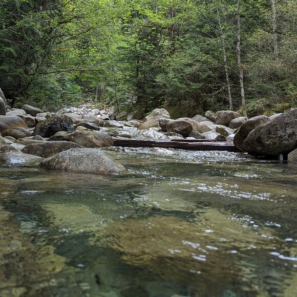 Meet your Posher - Picture 1 of 1